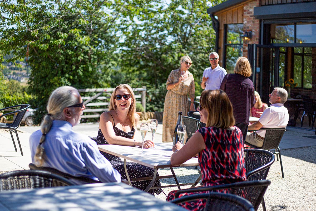 Vineyard Experiences in the Cotswolds