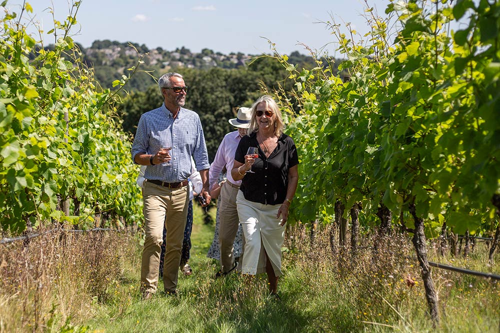 Vineyard Tour Vineyard Tour